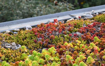the cost of Lower Carden green roof installation