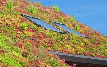 Lower Carden living roof systems