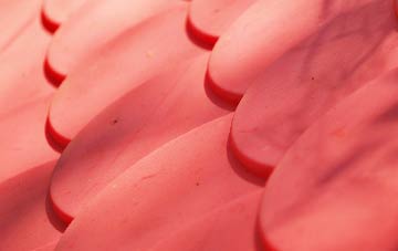 Lower Carden plastic roof costs